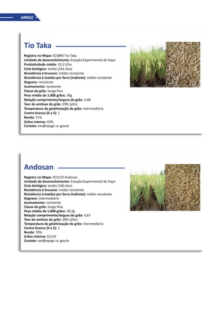 ARROZ
Tio Taka
Registro no Mapa: SCSBRS Tio Taka
Unidade de desenvolvimento: Estação Experimental de Itajaí
Produtividade média: 10,2 t/ha
Ciclo biológico: tardio (141 dias)
Resistência à brusone: médio resistente
Resistência à toxidez por ferro (indireta): médio resistente
Degrane: resistente
Acamamento: resistente
Classe do grão: longo-fino
Peso médio de 1.000 grãos: 30g
Relação comprimento/largura do grão: 3,48
Teor de amilose do grão: 29% (alto)
Temperatura de gelatinização do grão: intermediária
Centro branco (0 a 5): 1
Renda: 71%
Grãos inteiros: 63%
Contato: eei@epagri.sc.gov.br
Andosan
Registro no Mapa: SCS114 Andosan
Unidade de desenvolvimento: Estação Experimental de Itajaí
Ciclo biológico: tardio (140 dias)
Resistência à brusone: médio resistente
Resistência à toxidez por ferro (indireta): médio resistente
Degrane: intermediário
Acamamento: resistente
Classe do grão: longo-fino
Peso médio de 1.000 grãos: 30,2g
Relação comprimento/largura do grão: 3,67
Teor de amilose do grão: 28% (alto)
Temperatura de gelatinização do grão: intermediária
Centro branco (0 a 5): 1
Renda: 70%
Grãos inteiros: 63,5%
Contato: eei@epagri.sc.gov.br
 