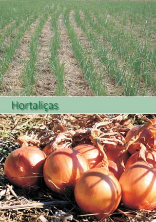 Hortaliças
 