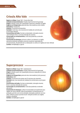 CEBOLA
Crioula Alto Vale
Registro no Mapa: Epagri 362 - Crioula Alto Vale
Unidade de desenvolvimento: Estação Experimental de Ituporanga
Origem: seleção a partir de 5 populações superiores coletadas na região
Exigência em fotoperíodo: planta de dias intermediários (ciclo médio)
Semeadura: maio/junho
Colheita: 2ª quinzena de dezembro
Sanidade: muito boa, mas necessita de medidas de controle para
as principais doenças
Características de bulbo: formato arredondado; coloração amarelo-
-avermelhada; firme e com boa retenção de escamas
Conservação no armazenamento: muito boa podendo se estender
até abril/maio
Característica de destaque: primeiro cultivar a se destacar na região;
apresenta excelente aceitação comercial, excelente capacidade de
armazenamento. Atualmente tem se destacado no cultivo em regiões de maior altitude
Contato: eeitu@epagri.sc.gov.br
Superprecoce
Registro no Mapa: Epagri 363 - Superprecoce
Unidade de desenvolvimento: Estação Experimental de Ituporanga
Origem: seleção a partir de 4 populações precoces originadas do cultivar
Baia Periforme
Exigência em fotoperíodo: planta de dias intermediários (ciclo precoce)
Semeadura: abril
Colheita: 2ª quinzena de outubro até 2ª quinzena de novembro
Sanidade: boa, mas necessita de medidas de controle para as principais
doenças
Características de bulbo: formato arredondado; coloração amarela;
firme e com boa retenção de escamas
Conservação no armazenamento: muito boa podendo se estender
até janeiro
Característica de destaque: cultivar recomendado principalmente para
regiões de menor altitude. Além de possibilitar o escalonamento na
produção, permite uma comercialização antecipada, podendo com isso
obter melhores preços quando houver redução da oferta nas regiões
Sudeste e Nordeste
Contato: eeitu@epagri.sc.gov.br
 