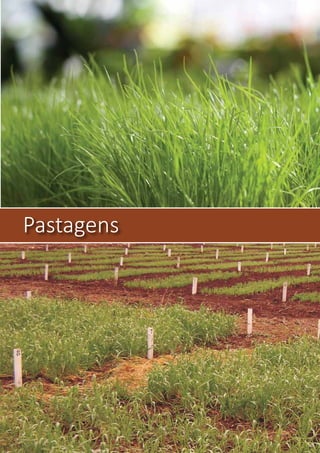 Pastagens
 