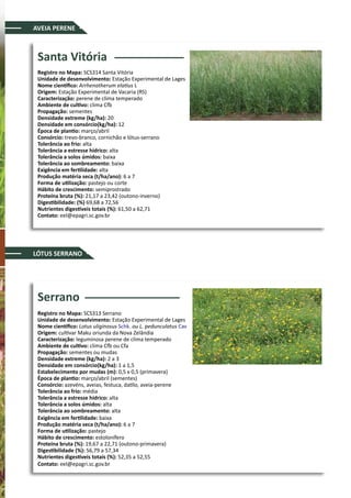 AVEIA PERENE
Santa Vitória
Registro no Mapa: SCS314 Santa Vitória
Unidade de desenvolvimento: Estação Experimental de Lages
Nome científico: Arrhenatherum elatius L
Origem: Estação Experimental de Vacaria (RS)
Caracterização: perene de clima temperado
Ambiente de cultivo: clima Cfb
Propagação: sementes
Densidade extreme (kg/ha): 20
Densidade em consórcio(kg/ha): 12
Época de plantio: março/abril
Consórcio: trevo-branco, cornichão e lótus-serrano
Tolerância ao frio: alta
Tolerância a estresse hídrico: alta
Tolerância a solos úmidos: baixa
Tolerância ao sombreamento: baixa
Exigência em fertilidade: alta
Produção matéria seca (t/ha/ano): 6 a 7
Forma de utilização: pastejo ou corte
Hábito de crescimento: semiprostrado
Proteína bruta (%): 21,17 a 23,42 (outono-inverno)
Digestibilidade: (%) 69,68 a 72,56
Nutrientes digestíveis totais (%): 61,50 a 62,71
Contato: eel@epagri.sc.gov.br
Serrano
Registro no Mapa: SCS313 Serrano
Unidade de desenvolvimento: Estação Experimental de Lages
Nome científico: Lotus uliginosus Schk. ou L. pedunculatus Cav
Origem: cultivar Maku oriunda da Nova Zelândia
Caracterização: leguminosa perene de clima temperado
Ambiente de cultivo: clima Cfb ou Cfa
Propagação: sementes ou mudas
Densidade extreme (kg/ha): 2 a 3
Densidade em consórcio(kg/ha): 1 a 1,5
Estabelecimento por mudas (m): 0,5 x 0,5 (primavera)
Época de plantio: março/abril (sementes)
Consórcio: azevéns, aveias, festuca, datilo, aveia-perene
Tolerância ao frio: média
Tolerância a estresse hídrico: alta
Tolerância a solos úmidos: alta
Tolerância ao sombreamento: alta
Exigência em fertilidade: baixa
Produção matéria seca (t/ha/ano): 6 a 7
Forma de utilização: pastejo
Hábito de crescimento: estolonífero
Proteína bruta (%): 19,67 a 22,71 (outono-primavera)
Digestibilidade (%): 56,79 a 57,34
Nutrientes digestíveis totais (%): 52,35 a 52,55
Contato: eel@epagri.sc.gov.br
LÓTUS SERRANO
 