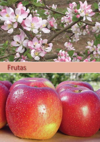 Frutas
 