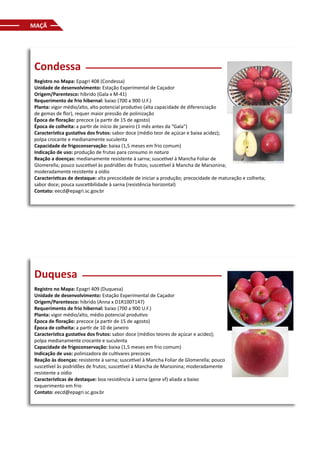 MAÇÃ
Condessa
Registro no Mapa: Epagri 408 (Condessa)
Unidade de desenvolvimento: Estação Experimental de Caçador
Origem/Parentesco: híbrido (Gala x M-41)
Requerimento de frio hibernal: baixo (700 a 900 U.F.)
Planta: vigor médio/alto, alto potencial produtivo (alta capacidade de diferenciação
de gemas de flor), requer maior pressão de polinização
Época de floração: precoce (a partir de 15 de agosto)
Época de colheita: a partir de início de janeiro (1 mês antes da “Gala”)
Característica gustativa dos frutos: sabor doce (médio teor de açúcar e baixa acidez);
polpa crocante e medianamente suculenta
Capacidade de frigoconservação: baixa (1,5 meses em frio comum)
Indicação de uso: produção de frutas para consumo in natura
Reação a doenças: medianamente resistente à sarna; suscetível à Mancha Foliar de
Glomerella; pouco suscetível às podridões de frutos; suscetível à Mancha de Marsonina;
moderadamente resistente a oídio
Características de destaque: alta precocidade de iniciar a produção; precocidade de maturação e colheita;
sabor doce; pouca suscetibilidade à sarna (resistência horizontal)
Contato: eecd@epagri.sc.gov.br
Duquesa
Registro no Mapa: Epagri 409 (Duquesa)
Unidade de desenvolvimento: Estação Experimental de Caçador
Origem/Parentesco: híbrido (Anna x D1R100T147)
Requerimento de frio hibernal: baixo (700 a 900 U.F.)
Planta: vigor médio/alto, médio potencial produtivo
Época de floração: precoce (a partir de 15 de agosto)
Época de colheita: a partir de 10 de janeiro
Característica gustativa dos frutos: sabor doce (médios teores de açúcar e acidez);
polpa medianamente crocante e suculenta
Capacidade de frigoconservação: baixa (1,5 meses em frio comum)
Indicação de uso: polinizadora de cultivares precoces
Reação às doenças: resistente à sarna; suscetível à Mancha Foliar de Glomerella; pouco
suscetível às podridões de frutos; suscetível à Mancha de Marsonina; moderadamente
resistente a oídio
Características de destaque: boa resistência à sarna (gene vf) aliada a baixo
requerimento em frio
Contato: eecd@epagri.sc.gov.br
 