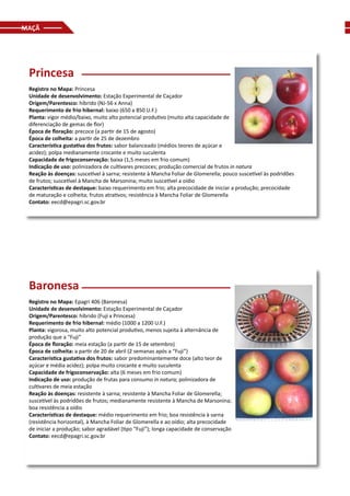 MAÇÃ
Princesa
Registro no Mapa: Princesa
Unidade de desenvolvimento: Estação Experimental de Caçador
Origem/Parentesco: híbrido (NJ-56 x Anna)
Requerimento de frio hibernal: baixo (650 a 850 U.F.)
Planta: vigor médio/baixo, muito alto potencial produtivo (muito alta capacidade de
diferenciação de gemas de flor)
Época de floração: precoce (a partir de 15 de agosto)
Época de colheita: a partir de 25 de dezembro
Característica gustativa dos frutos: sabor balanceado (médios teores de açúcar e
acidez); polpa medianamente crocante e muito suculenta
Capacidade de frigoconservação: baixa (1,5 meses em frio comum)
Indicação de uso: polinizadora de cultivares precoces; produção comercial de frutos in natura
Reação às doenças: suscetível à sarna; resistente à Mancha Foliar de Glomerella; pouco suscetível às podridões
de frutos; suscetível à Mancha de Marsonina; muito suscetível a oídio
Características de destaque: baixo requerimento em frio; alta precocidade de iniciar a produção; precocidade
de maturação e colheita; frutos atrativos; resistência à Mancha Foliar de Glomerella
Contato: eecd@epagri.sc.gov.br
Baronesa
Registro no Mapa: Epagri 406 (Baronesa)
Unidade de desenvolvimento: Estação Experimental de Caçador
Origem/Parentesco: híbrido (Fuji x Princesa)
Requerimento de frio hibernal: médio (1000 a 1200 U.F.)
Planta: vigorosa, muito alto potencial produtivo, menos sujeita à alternância de
produção que a “Fuji”
Época de floração: meia estação (a partir de 15 de setembro)
Época de colheita: a partir de 20 de abril (2 semanas após a “Fuji”)
Característica gustativa dos frutos: sabor predominantemente doce (alto teor de
açúcar e média acidez); polpa muito crocante e muito suculenta
Capacidade de frigoconservação: alta (6 meses em frio comum)
Indicação de uso: produção de frutas para consumo in natura; polinizadora de
cultivares de meia estação
Reação às doenças: resistente à sarna; resistente à Mancha Foliar de Glomerella;
suscetível às podridões de frutos; medianamente resistente à Mancha de Marsonina;
boa resistência a oídio
Características de destaque: médio requerimento em frio; boa resistência à sarna
(resistência horizontal), à Mancha Foliar de Glomerella e ao oídio; alta precocidade
de iniciar a produção; sabor agradável (tipo “Fuji”); longa capacidade de conservação
Contato: eecd@epagri.sc.gov.br
 