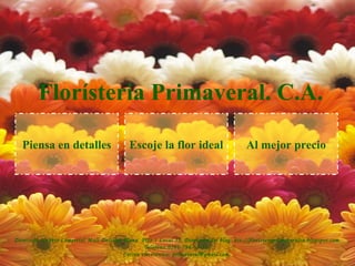 Florísteria Primaveral. C.A.

   Piensa en detalles                        Escoje la flor ideal                          Al mejor precio




Dirección: Centro Comercial Mall Delicias Plaza, Piso 1 Local 12. Dirección del blog: htt://floristeraprimaveralca.blogspot.com.
                                                  Teléfono:0261-796-55-32.
                                          Correo electrónico: primaveral@gmail.com.
 