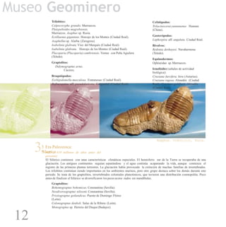 Museo Geominero
Trilobites:
Colpocoryphe grandis. Marruecos.
Platypeltoides magrebiensis.
Marruecos. Asaphus sp. Rusia.
Ectillaenus giganteus. Horcajo de los Montes (Ciudad Real).
Asaphellus sp. Alarba (Zaragoza).
Isabelinia glabrata. Viso del Marqués (Ciudad Real).
Isabelinia glabrata. Horcajo de los Montes (Ciudad Real).
Placoparia (Placoparia) cambriensis. Ventas con Peña Aguilera
(Toledo).
Graptolitos:
Didymograptus artus.
Cáceres.
Braquiópodos:
Eorhipidomella musculosa. Fontanosas (Ciudad Real).
Rafinesquina aff. pseudoloricata. Gargantiel (Ciudad Real).
Cefalópodos:
Trilacinocerasyunnanense. Hunnan
(China).
Gasterópodos:
Lophospira aff. angulata. Ciudad Real.
Bivalvos:
Redonia deshayesi. Navahermosa
(Toledo).
Equinodermos:
Ophiuridae sp. Marruecos.
Icnofósiles (señales de actividad
biológica):
Cruziana furcifera. Jove (Asturias).
Cruziana rugosa. Almadén (Ciudad
Real). Cruziana goldfussi. Almadén
(Ciudad Real).
Asaphus. Ordovícico, Rusia.
3.3. Era Paleozoica:
Silœrico(435 a 410 millones de años antes del
presente)
El Silúrico comienza con unas características climáticas especiales. El hemisferio sur de la Tierra se recuperaba de una
glaciación. Los antiguos continentes seguían separándose y el agua continúa acaparando la vida, aunque comienza el
registro de las primeras plantas terrestres. La glaciación había provocado la extinción de muchas familias de invertebrados.
Los trilobites continúan siendo importantes en los ambientes marinos, pero otro grupo destaca sobre los demás durante este
periodo. Se trata de los graptolitos, invertebrados coloniales planctónicos, que tuvieron una distribución cosmopolita. Poco
antes de finalizar el Silúrico se diversificaron los pecesacora- zados sin mandíbulas.
Graptolitos:
Bohemograptus bohemicus. Constantina (Sevilla).
Neodiversograptus nilssoni. Constantina (Sevilla).
Pristiograptus gotlandicus. Puente de Domingo Flórez
(León).
Colonograptus deubeli. Salas de la Ribera (León).
Monograptus sp. Herrera del Duque(Badajoz).
12
 