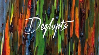 Авторские итальянские сумки Deglupta 