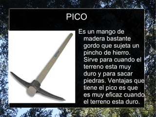PICO Es un mango de madera bastante gordo que sujeta un pincho de hierro. Sirve para cuando el terreno esta muy duro y para sacar piedras. Ventajas que tiene el pico es que es muy eficaz cuando el terreno esta duro. 
