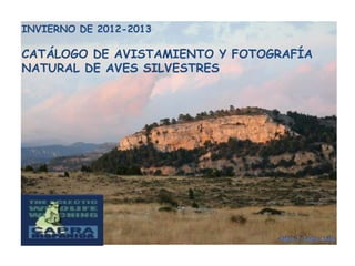 INVIERNO DE 2012-2013

CATÁLOGO DE AVISTAMIENTO Y FOTOGRAFÍA
NATURAL DE AVES SILVESTRES
 