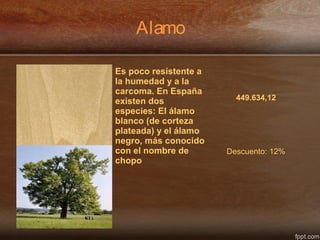 Alamo
Es poco resistente a
la humedad y a la
carcoma. En España
existen dos
especies: El álamo
blanco (de corteza
plateada) y el álamo
negro, más conocido
con el nombre de
chopo
449.634,12
Descuento: 12%
 