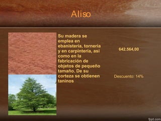 Aliso
Su madera se
emplea en
ebanistería, tornería
y en carpintería, así
como en la
fabricación de
objetos de pequeño
tamaño. De su
corteza se obtienen
taninos
642.564,00
Descuento: 14%
 