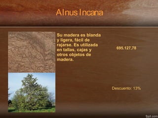AlnusIncana
Su madera es blanda
y ligera, fácil de
rajarse. Es utilizada
en tallas, cajas y
otros objetos de
madera.
695.127,78
Descuento: 13%
 