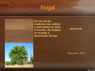 Nogal
Es una de las
maderas más nobles
y apreciadas en todo
el mundo. Se emplea
en mueble y
decoración de lujo
568.679,90
Descuento: 22%
 
