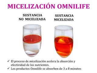 MICELIZACIÓN OMNILIFE
SUSTANCIA
NO MICELIZADA
SUSTANCIA
MICELIZADA
✓ El proceso de micelización acelera la absorción y
efectividad de los nutrientes.
✓ Los productos Omnilife se absorben de 3 a 8 minutos
 