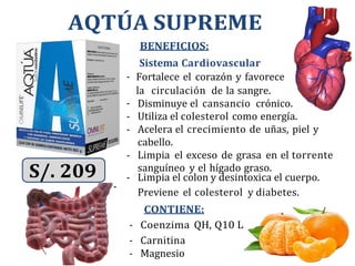 AQTÚA SUPREME
BENEFICIOS:
Sistema Cardiovascular
Fortalece el corazón y favorece
la circulación de la sangre.
Disminuye el cansancio crónico.
Utiliza el colesterol como energía.
Acelera el crecimiento de uñas, piel y
cabello.
Limpia el exceso de grasa en el torrente
sanguíneo y el hígado graso.
- Limpia el colon y desintoxica el cuerpo.
-
Previene el colesterol y diabetes.
CONTIENE:
- Coenzima QH, Q10 L
- Carnitina
- Magnesio
 