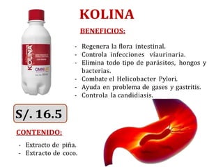 KOLINA
BENEFICIOS:
- Regenera la flora intestinal.
- Controla infecciones víaurinaria.
- Elimina todo tipo de parásitos, hongos y
bacterias.
- Combate el Helicobacter Pylori.
- Ayuda en problema de gases y gastritis.
- Controla la candidiasis.
CONTENIDO:
- Extracto de piña.
- Extracto de coco.
 