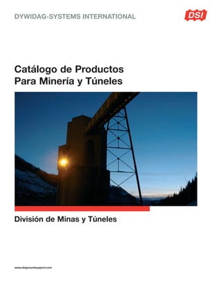 DYWIDAG-SYSTEMS INTERNATIONAL 
Catálogo de Productos 
Para Minería y Túneles 
División de Minas y Túneles 
www.dsigroundsupport.com 
 