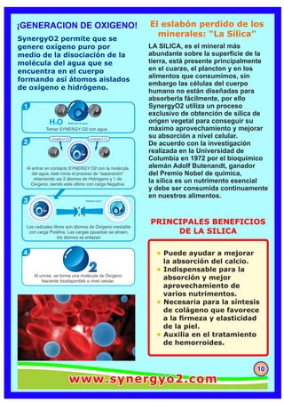 1
H2O
4
3
2
101010
PRINCIPALES BENEFICIOS
DE LA SILICA
¡GENERACION DE OXIGENO! El eslabón perdido de los
minerales: “La Sílica”
SynergyO2 permite que se
genere oxígeno puro por
medio de la disociación de la
molécula del agua que se
encuentra en el cuerpo
formando así átomos aislados
de oxígeno e hidrógeno.
LA SILICA, es el mineral más
abundante sobre la superﬁcie de la
tierra, está presente principalmente
en el cuarzo, el plancton y en los
alimentos que consumimos, sin
embargo las células del cuerpo
humano no están diseñadas para
absorberla fácilmente, por ello
SynergyO2 utiliza un proceso
exclusivo de obtención de sílica de
origen vegetal para conseguir su
máximo aprovechamiento y mejorar
su absorción a nivel celular.
De acuerdo con la investigación
realizada en la Universidad de
Columbia en 1972 por el bioquímico
alemán Adolf Butenandt, ganador
del Premio Nobel de química,
la sílica es un nutrimento esencial
y debe ser consumida continuamente
en nuestros alimentos.
• Puede ayudar a mejorar
la absorción del calcio.
Indispensable para la•
absorción y mejor
aprovechamiento de
varios nutrimentos.
Necesaria para la síntesis•
de colágeno que favorece
a la ﬁrmeza y elasticidad
de la piel.
Auxilia en el tratamiento•
de hemorroides.
www.synergyo2.comwww.synergyo2.comwww.synergyo2.com
 