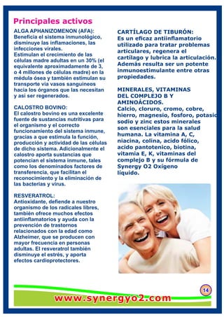 Principales activos
141414
CARTÍLAGO DE TIBURÓN:
Es un eﬁcaz antiinﬂamatorio
utilizado para tratar problemas
articulares, regenera el
cartílago y lubrica la articulación.
Además resulta ser un potente
inmunoestimulante entre otras
propiedades.
MINERALES, VITAMINAS
DEL COMPLEJO B Y
AMINOÁCIDOS.
Calcio, cloruro, cromo, cobre,
hierro, magnesio, fosforo, potasio
sodio y zinc estos minerales
son esenciales para la salud
humana. La vitamina A, C,
niacina, colina, acido fólico,
acido pantotenico, biotina,
vitamia E, K, vitaminas del
complejo B y su fórmula de
Synergy O2 Oxígeno
líquido.
ALGA APHANIZOMENON (AFA):
Beneﬁcia el sistema inmunológico,
disminuye las inﬂamaciones, las
infecciones virales.
Estimulan el crecimiento de las
células madre adultas en un 30% (el
equivalente aproximadamente de 3,
o 4 millones de células madre) en la
médula ósea y también estimulan su
transporte vía vasos sanguíneos
hacia los órganos que las necesitan
y así ser regenerados.
CALOSTRO BOVINO:
El calostro bovino es una excelente
fuente de sustancias nutritivas para
el organismo y el correcto
funcionamiento del sistema inmune,
gracias a que estimula la función,
producción y actividad de las células
de dicho sistema. Adicionalmente el
calostro aporta sustancias que
potencian el sistema inmune, tales
como los denominados factores de
transferencia, que facilitan el
reconocimiento y la eliminación de
las bacterias y virus.
RESVERATROL:
Antioxidante, deﬁende a nuestro
organismo de los radicales libres,
también ofrece muchos efectos
antiinﬂamatorios y ayuda con la
prevención de trastornos
relacionados con la edad como
Alzheimer, que se producen con
mayor frecuencia en personas
adultas. El resveratrol también
disminuye el estrés, y aporta
efectos cardioprotectores.
www.synergyo2.comwww.synergyo2.comwww.synergyo2.com
 