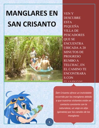 MANGLARES EN
SAN CRISANTO

VEN Y
DESCUBRE
ESTA
PEQUEÑA
VILLA DE
PESCADORES
QUE SE
ENCUENTRA
UBICADA A 20
MINUTOS DE
PROGRESO
RUMBO A
TELCHAC, EN
EL CAMINO TE
ENCONTRARA
S CON
FLAMINGOS,
AVES
ACUATICAS Y
San Crisanto ofrece un inolvidable
TERMINARAS
recorrido por los manglares debido
REFRESCANDO
a que nuestros visitantes están en
TE EN UN
contacto constante con la
CENOTE
naturaleza, un viaje en alijo
(góndola) por los DEL de los
CERCA canales
manglares
MAR

5

 