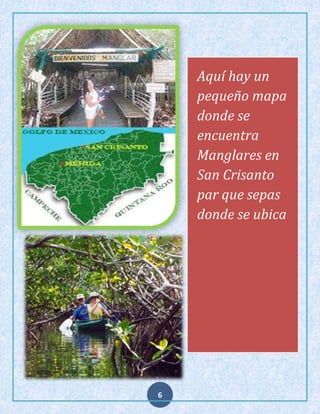 Aquí hay un
pequeño mapa
donde se
encuentra
Manglares en
San Crisanto
par que sepas
donde se ubica

6

 