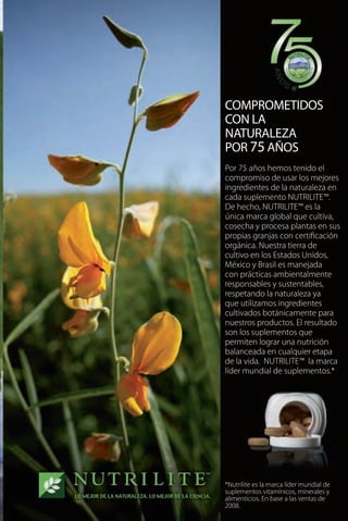 Catalogo 2008-2009