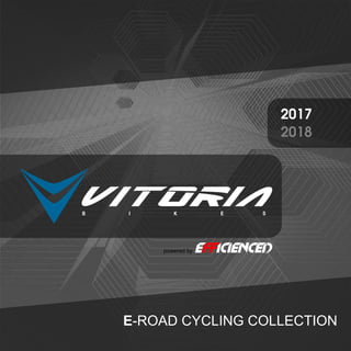 Catalogo Efficienced Vitoria 2018