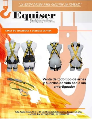 EQUISERCATALOGO