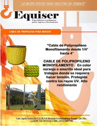 EQUISERCATALOGO