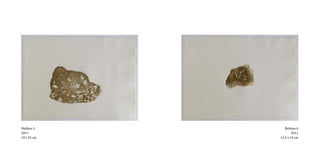 Biólitos 5      Biólitos 6
2011                 2011
18 x 25 cm   12,5 x 14 cm
 