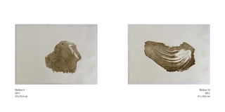 Biólitos 9      Biólitos 10
2011                   2011
23 x 25,5 cm   21 x 35,5 cm
 