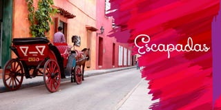 T: 620 6111
www.viajesrosario.com
T: 620 6111
www.viajesrosario.com
86 87
Escapadas
 