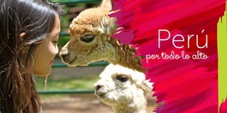 T: 620 6111
www.viajesrosario.com
T: 620 6111
www.viajesrosario.com
140 141
Perúpor todo lo alto
 