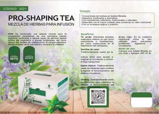 Pro Shapping Tea Catalogo Final DE HGW 2025 ROUSS ALVARADO | PDF