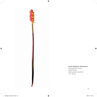 Arum Italicum, Herbarium
                               Escanografía. Tintas
                               pigmentadas
                               sobre papel SuperAlfa.
                               33 × 80 cm.




                                                          25




Catalogo_Flecha_2013.indd 25                            24/01/13 16:14
 