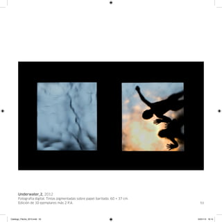 Underwater_2, 2012
      Fotografía digital. Tintas pigmentadas sobre papel baritado. 60 × 37 cm.
      Edición de 10 ejemplares más 2 P.A.                                          53




Catalogo_Flecha_2013.indd 53                                                     24/01/13 16:14
 