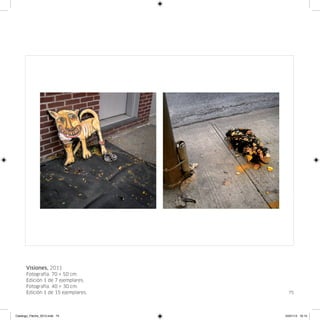 Visiones, 2011
      Fotografía. 70 × 50 cm.
      Edición 1 de 7 ejemplares.
      Fotografía. 40 × 30 cm.
      Edición 1 de 15 ejemplares.     75




Catalogo_Flecha_2013.indd 75        24/01/13 16:15
 