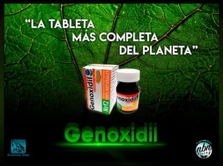 Catalogo genoxidil evolution team