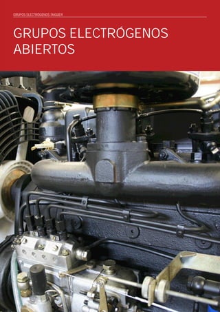 GRUPOS ELECTRÓGENOS TAIGÜER




GRUPOS ELECTRÓGENOS
ABIERTOS




10
 