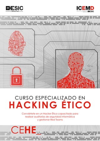 Qué hace un hacker ético?, Perfiles en TI