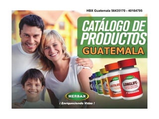 HBX Guatemala 56435170 - 40164795
 
