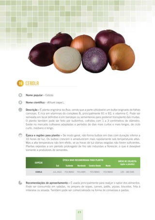 23
N
N
...
1 Cebola
Nome popular - Cebola
Nome científico - Allium cepa L.
Descrição – É planta originária da Ásia, sendo que a parte utilizável é um bulbo originado de folhas
carnosas. É rica em vitaminas do complexo B, principalmente B1 e B2, e vitamina C. Pode ser
semeada em local definitivo e em bandejas ou sementeiras para posterior transplante das mudas.
O plantio também pode ser feito por bulbinhos, colhidos com 1 a 3 centímetros de diâmetro.
Existe no mercado cultivares adaptadas a períodos de dias mais curtos e mais longos, de ciclo
curto, mediano e longo.
Época e regiões para plantio – De modo geral, não forma bulbos em dias com duração inferior a
10 horas de luz. Os bulbos crescem e amadurecem mais rapidamente sob temperaturas altas.
Mas a alta temperatura não tem efeito, se as horas de luz diárias exigidas não forem suficientes.
Plantas expostas a um período prolongado de frio são induzidas a florescer, o que é desejável
somente a produtores de sementes.
ESPÉCIE
ÉPOCA MAIS RECOMENDADA PARA PLANTIO
INÍCIO DE COLHEITA
(após o plantio) 
Sul Sudeste Nordeste Centro-Oeste Norte
Cebola jul./ago. fev./maio fev./abr. fev./maio fev./maio 120 - 180 dias
Recomendações de aproveitamento – É usada principalmente para realçar o sabor dos alimentos.
Pode ser consumida em saladas, no preparo de sopas, carnes, patês, pizzas, biscoitos, frita à
milanesa ou assada. Também pode ser comercializada na forma de conservas e pastas.
16
 