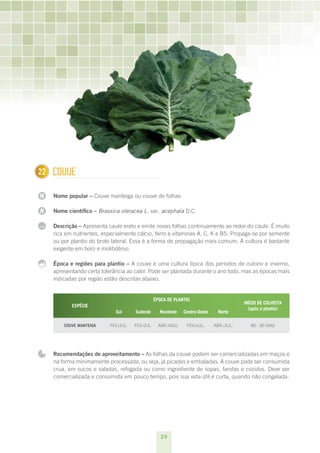29
N
N
...
1 Couve
Nome popular – Couve manteiga ou couve de folhas
Nome científico – Brassica oleracea L. var. acephala D.C.
Descrição – Apresenta caule ereto e emite novas folhas continuamente ao redor do caule. É muito
rica em nutrientes, especialmente cálcio, ferro e vitaminas A, C, K e B5. Propaga-se por semente
ou por plantio do broto lateral. Essa é a forma de propagação mais comum. A cultura é bastante
exigente em boro e molibdênio.
Época e regiões para plantio – A couve é uma cultura típica dos períodos de outono e inverno,
apresentando certa tolerância ao calor. Pode ser plantada durante o ano todo, mas as épocas mais
indicadas por região estão descritas abaixo.
ESPÉCIE
ÉPOCA DE PLANTIO
INÍCIO DE COLHEITA
(após o plantio) 
Sul Sudeste Nordeste Centro-Oeste Norte
Couve Manteiga fev./jul. fev./jul. abr./ago. fev./jul. abr./jul. 80 - 90 dias
Recomendações de aproveitamento – As folhas da couve podem ser comercializadas em maços e
na forma minimamente processada, ou seja, já picadas e embaladas. A couve pode ser consumida
crua, em sucos e saladas, refogada ou como ingrediente de sopas, farofas e cozidos. Deve ser
comercializada e consumida em pouco tempo, pois sua vida útil é curta, quando não congelada.
22
 