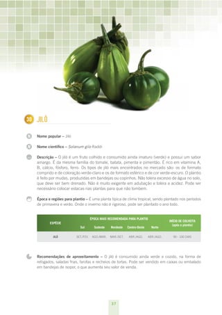 37
N
N
...
130 Jiló
Nome popular – Jiló
Nome científico – Solanum gilo Raddi
Descrição – O jiló é um fruto colhido e consumido ainda imaturo (verde) e possui um sabor
amargo. É da mesma família do tomate, batata, pimenta e pimentão. É rico em vitamina A,
B, cálcio, fósforo, ferro. Os tipos de jiló mais encontrados no mercado são: os de formato
comprido e de coloração verde-claro e os de formato esférico e de cor verde-escuro. O plantio
é feito por mudas, produzidas em bandejas ou copinhos. Não tolera excesso de água no solo,
que deve ser bem drenado. Não é muito exigente em adubação e tolera a acidez. Pode ser
necessário colocar estacas nas plantas para que não tombem.
Época e regiões para plantio – É uma planta típica de clima tropical, sendo plantado nos períodos
de primavera e verão. Onde o inverno não é rigoroso, pode ser plantado o ano todo.
ESPÉCIE
ÉPOCA MAIS RECOMENDADA PARA PLANTIO
INÍCIO DE COLHEITA
(após o plantio)
Sul Sudeste Nordeste Centro-Oeste Norte
Jiló set./fev. ago./mar. mar./set. abr./ago. abr./ago. 90 - 100 dias
Recomendações de aproveitamento – O jiló é consumido ainda verde e cozido, na forma de
refogados, saladas frias, farofas e recheios de tortas. Pode ser vendido em caixas ou embalado
em bandejas de isopor, o que aumenta seu valor de venda.
 