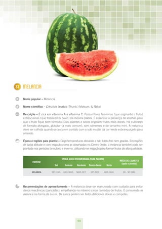 40
N
N
...
133 Melancia
Nome popular – Melancia
Nome científico – Citrullus lanatus (Thunb.) Matsum. & Nakai
Descrição – É rica em vitamina A e vitamina C. Possui flores femininas (que originarão o fruto)
e masculinas (que fornecem o pólen) na mesma planta. É essencial a presença de abelhas para
que o fruto fique bem formado. Dias quentes e secos originam frutos mais doces. Há cultivares
de formato alongado, globular (a mais comum), sem sementes e de tamanho mini. A melancia
deve ser colhida quando a casca em contato com o solo mudar da cor verde esbranquiçado para
amarelo.
Época e regiões para plantio – Exige temperaturas elevadas e não tolera frio nem geadas. Em regiões
de baixa altitude e com irrigação como as observadas no Centro-Oeste, a melancia também pode ser
plantada nos períodos de outono e inverno, utilizando-se irrigação para formar frutos de alta qualidade.
ESPÉCIE
ÉPOCA MAIS RECOMENDADA PARA PLANTIO
INÍCIO DE COLHEITA
(após o plantio)
Sul Sudeste Nordeste Centro-Oeste Norte
Melancia set./jan. ago./mar. mar./set. set./dez. abr./ago. 85 - 90 dias
Recomendações de aproveitamento – A melancia deve ser manuseada com cuidado para evitar
danos mecânicos (pancadas), empilhando no máximo cinco camadas de frutos. É consumida in
natura e na forma de sucos. Da casca podem ser feitos deliciosos doces e compotas.
 