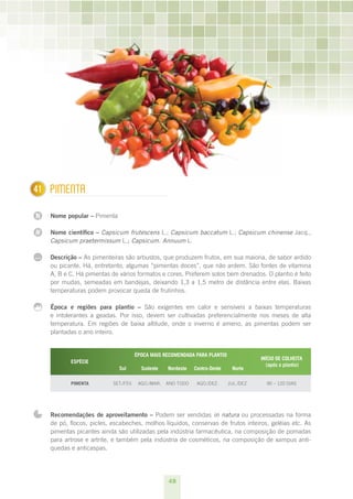 48
N
N
1
...
41 Pimenta
Nome popular – Pimenta
Nome científico – Capsicum frutescens L.; Capsicum baccatum L.; Capsicum chinense Jacq.,
Capsicum praetermissum L.; Capsicum. Annuum L.
Descrição – As pimenteiras são arbustos, que produzem frutos, em sua maioria, de sabor ardido
ou picante. Há, entretanto, algumas “pimentas doces”, que não ardem. São fontes de vitamina
A, B e C. Há pimentas de vários formatos e cores. Preferem solos bem drenados. O plantio é feito
por mudas, semeadas em bandejas, deixando 1,3 a 1,5 metro de distância entre elas. Baixas
temperaturas podem provocar queda de frutinhos.
Época e regiões para plantio – São exigentes em calor e sensíveis a baixas temperaturas
e intolerantes a geadas. Por isso, devem ser cultivadas preferencialmente nos meses de alta
temperatura. Em regiões de baixa altitude, onde o inverno é ameno, as pimentas podem ser
plantadas o ano inteiro.
ESPÉCIE
ÉPOCA MAIS RECOMENDADA PARA PLANTIO
INÍCIO DE COLHEITA
(após o plantio)
Sul Sudeste Nordeste Centro-Oeste Norte
Pimenta set./fev. ago./mar. ano todo ago./dez. jul./dez. 90 – 120 dias
Recomendações de aproveitamento – Podem ser vendidas in natura ou processadas na forma
de pó, flocos, picles, escabeches, molhos líquidos, conservas de frutos inteiros, geléias etc. As
pimentas picantes ainda são utilizadas pela indústria farmacêutica, na composição de pomadas
para artrose e artrite, e também pela indústria de cosméticos, na composição de xampus anti-
quedas e anticaspas.
 
