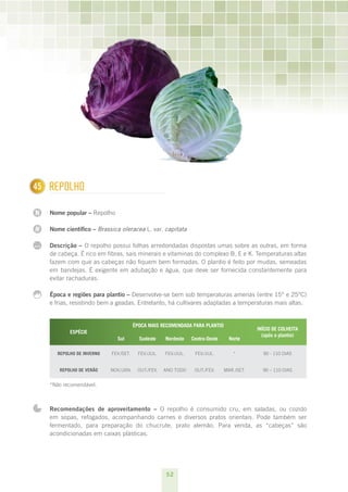 52
N
N
...
145 Repolho
Nome popular – Repolho
Nome científico – Brassica oleracea L. var. capitata
Descrição – O repolho possui folhas arredondadas dispostas umas sobre as outras, em forma
de cabeça. É rico em fibras, sais minerais e vitaminas do complexo B, E e K. Temperaturas altas
fazem com que as cabeças não fiquem bem formadas. O plantio é feito por mudas, semeadas
em bandejas. É exigente em adubação e água, que deve ser fornecida constantemente para
evitar rachaduras.
Época e regiões para plantio – Desenvolve-se bem sob temperaturas amenas (entre 15° e 25°C)
e frias, resistindo bem a geadas. Entretanto, há cultivares adaptadas a temperaturas mais altas.
ESPÉCIE
ÉPOCA MAIS RECOMENDADA PARA PLANTIO
INÍCIO DE COLHEITA
(após o plantio)
Sul Sudeste Nordeste Centro-Oeste Norte
Repolho de inverno fev./set. fev./jul. fev./jul. fev./jul. * 90 - 110 dias
Repolho de verão nov./jan. out./fev. ano todo out./fev. mar./set. 90 – 110 dias
*Não recomendável.
Recomendações de aproveitamento – O repolho é consumido cru, em saladas, ou cozido
em sopas, refogados, acompanhando carnes e diversos pratos orientais. Pode também ser
fermentado, para preparação do chucrute, prato alemão. Para venda, as “cabeças” são
acondicionadas em caixas plásticas.
 