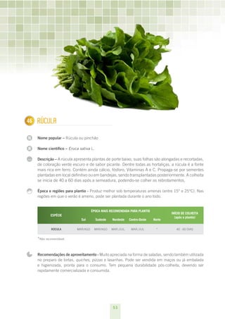 53
N
N
...
146 Rúcula
Nome popular – Rúcula ou pinchão
Nome científico – Eruca sativa L.
Descrição – A rúcula apresenta plantas de porte baixo, suas folhas são alongadas e recortadas,
de coloração verde escuro e de sabor picante. Dentre todas as hortaliças, a rúcula é a fonte
mais rica em ferro. Contém ainda cálcio, fósforo, Vitaminas A e C. Propaga-se por sementes
plantadas em local definitivo ou em bandejas, sendo transplantadas posteriormente. A colheita
se inicia de 40 a 60 dias após a semeadura, podendo-se colher os rebrotamentos.
Época e regiões para plantio - Produz melhor sob temperaturas amenas (entre 15° e 25°C). Nas
regiões em que o verão é ameno, pode ser plantada durante o ano todo.
ESPÉCIE
ÉPOCA MAIS RECOMENDADA PARA PLANTIO
INÍCIO DE COLHEITA
(após o plantio)
Sul Sudeste Nordeste Centro-Oeste Norte
Rúcula Mar/ago Mar/ago mar./jul. mar./jul * 40 - 60 dias
*Não recomendável.
Recomendações de aproveitamento - Muito apreciada na forma de saladas, sendo também utilizada
no preparo de tortas, quiches, pizzas e lasanhas. Pode ser vendida em maços ou já embalada
e higienizada, pronta para o consumo. Tem pequena durabilidade pós-colheita, devendo ser
rapidamente comercializada e consumida.
 
