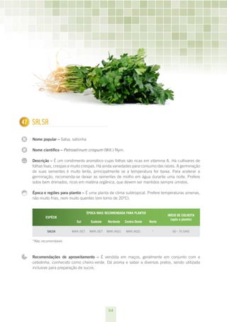 54
N
N
...
147 Salsa
Nome popular – Salsa, salsinha
Nome científico – Petroselinum crispum (Mill.) Nym.
Descrição – É um condimento aromático cujas folhas são ricas em vitamina A. Há cultivares de
folhas lisas, crespas e muito crespas. Há ainda variedades para consumo das raízes. A germinação
de suas sementes é muito lenta, principalmente se a temperatura for baixa. Para acelerar a
germinação, recomenda-se deixar as sementes de molho em água durante uma noite. Prefere
solos bem drenados, ricos em matéria orgânica, que devem ser mantidos sempre úmidos.
Época e regiões para plantio – É uma planta de clima subtropical. Prefere temperaturas amenas,
não muito frias, nem muito quentes (em torno de 20°C).
ESPÉCIE
ÉPOCA MAIS RECOMENDADA PARA PLANTIO
INÍCIO DE COLHEITA
(após o plantio)
Sul Sudeste Nordeste Centro-Oeste Norte
Salsa mar./set. mar./set mar./ago. mar./ago. * 60 - 70 dias
*Não recomendável.
Recomendações de aproveitamento – É vendida em maços, geralmente em conjunto com a
cebolinha, conhecido como cheiro-verde. Dá aroma e sabor a diversos pratos, sendo utilizada
inclusive para preparação de sucos.
 