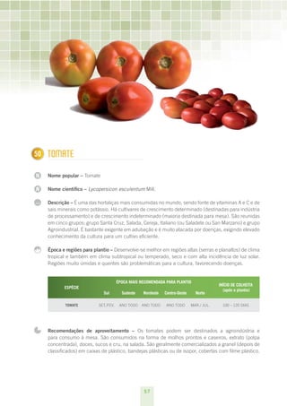 57
N
N
...
150 Tomate
Nome popular – Tomate
Nome científico – Lycopersicon esculentum Mill.
Descrição – É uma das hortaliças mais consumidas no mundo, sendo fonte de vitaminas A e C e de
sais minerais como potássio. Há cultivares de crescimento determinado (destinadas para indústria
de processamento) e de crescimento indeterminado (maioria destinada para mesa). São reunidas
em cinco grupos: grupo Santa Cruz, Salada, Cereja, Italiano (ou Saladete ou San Marzano) e grupo
Agroindustrial. É bastante exigente em adubação e é muito atacada por doenças, exigindo elevado
conhecimento da cultura para um cultivo eficiente.
Época e regiões para plantio – Desenvolve-se melhor em regiões altas (serras e planaltos) de clima
tropical e também em clima subtropical ou temperado, seco e com alta incidência de luz solar.
Regiões muito úmidas e quentes são problemáticas para a cultura, favorecendo doenças.
ESPÉCIE
ÉPOCA MAIS RECOMENDADA PARA PLANTIO
INÍCIO DE COLHEITA
(após o plantio)
Sul Sudeste Nordeste Centro-Oeste Norte
Tomate set./fev. ano todo ano todo ano todo mar./ jul. 100 – 120 dias
Recomendações de aproveitamento – Os tomates podem ser destinados a agroindústria e
para consumo à mesa. São consumidos na forma de molhos prontos e caseiros, extrato (polpa
concentrada), doces, sucos e cru, na salada. São geralmente comercializados a granel (depois de
classificados) em caixas de plástico, bandejas plásticas ou de isopor, cobertas com filme plástico.
 
